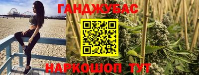 гашик Будённовск